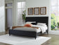 Danziar Queen Panel Bed with Mirrored Dresser and 2 Nightstands