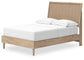 Cielden Full Panel Bed with Mirrored Dresser